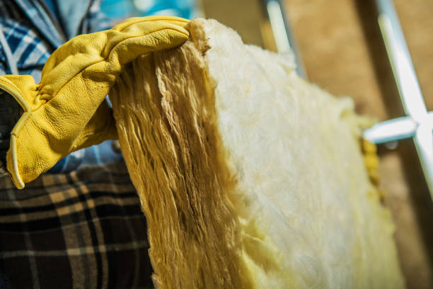 Best Geographic-Specific Insulation Services in Kearny, NJ